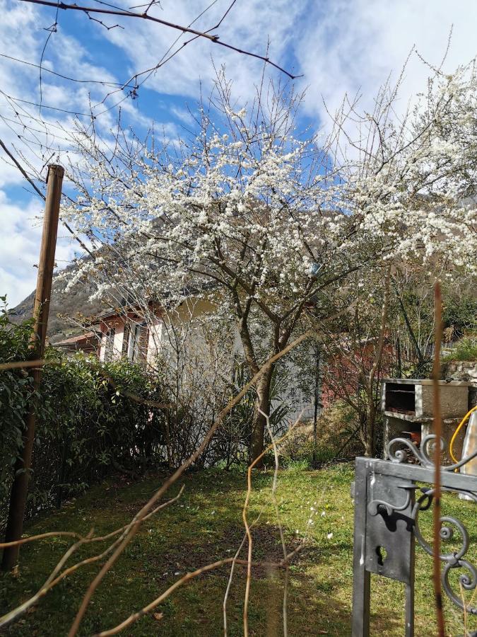 Casa Vista Lago E Giardino Porlezza Dış mekan fotoğraf