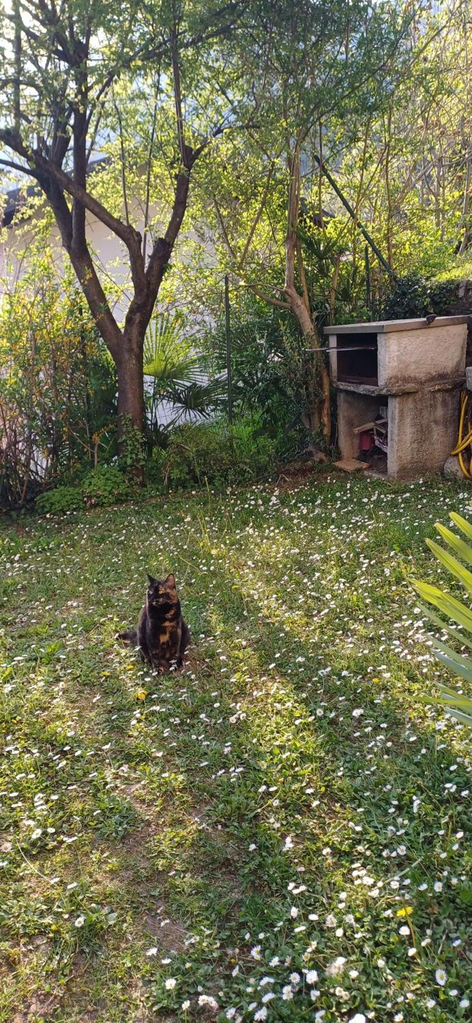 Casa Vista Lago E Giardino Porlezza Dış mekan fotoğraf